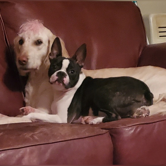 Meet your Posher, Amy - Picture 6 of 16